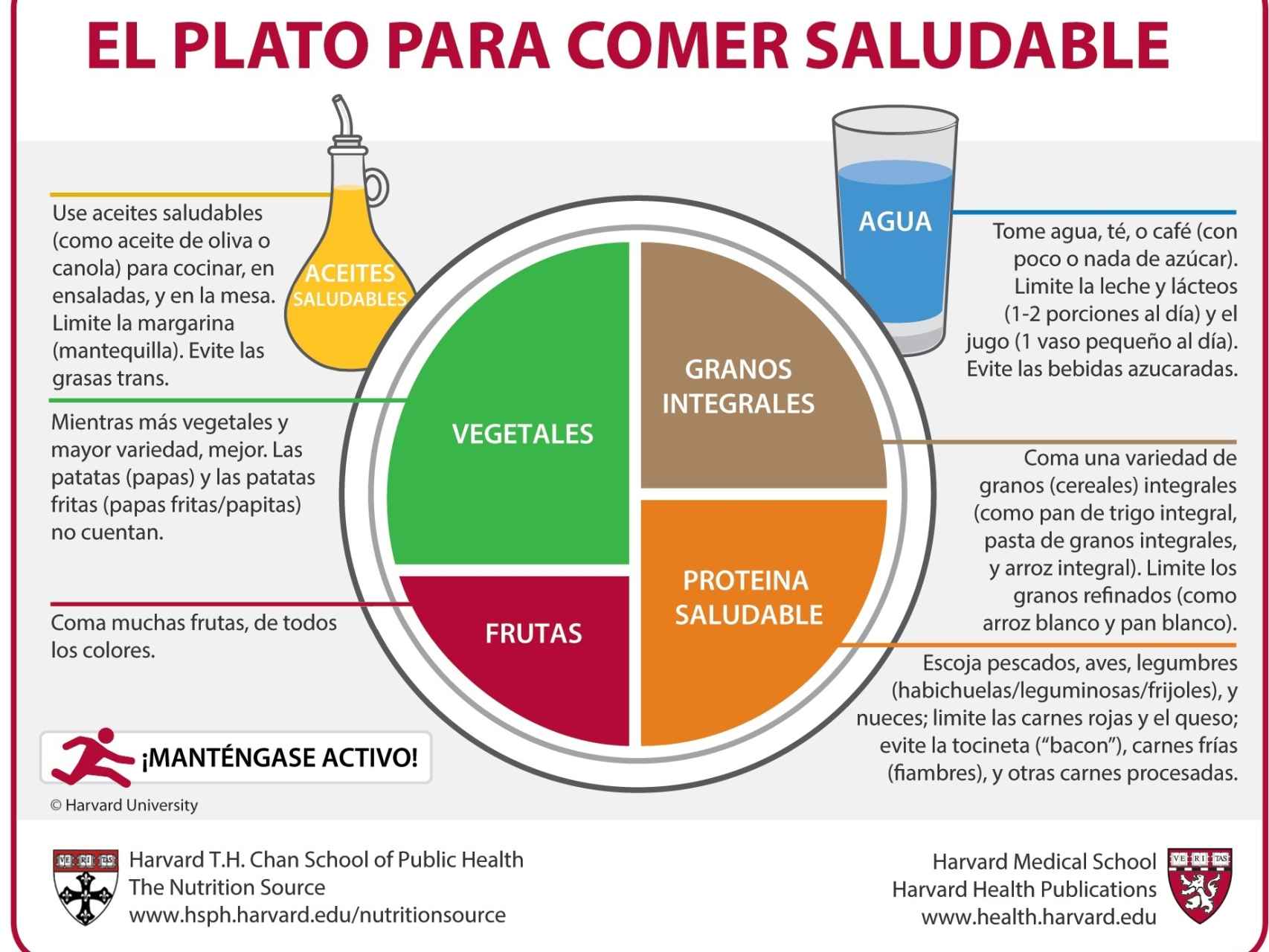 El Plato para Comer Saludable elaborado por investigadores de la Universidad de Harvard.