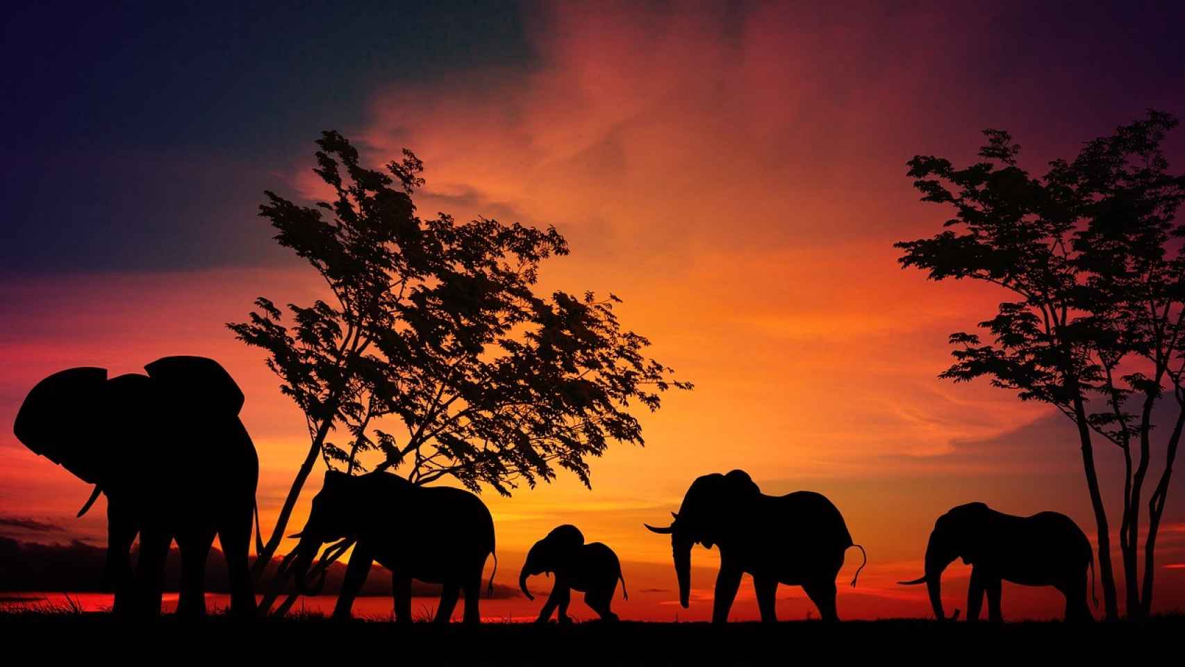 Estampa única del atardecer en el Parque de Serengeti.