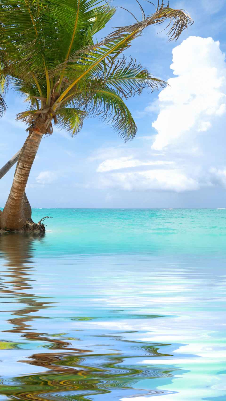 Punta Cana se caracteriza por sus idílicas playas.