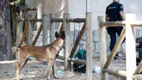 Un agente de la Guardia Civil y un perro de rastreo en Cercedilla. Foto: Europa Press