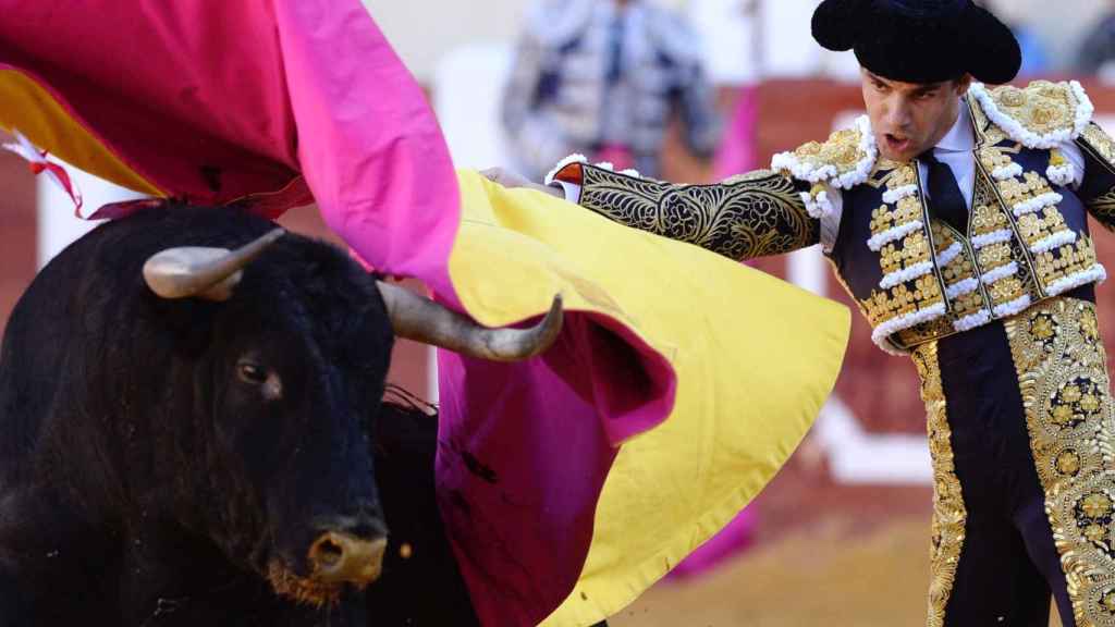 Pablo Agudo torea con el capote a su primer toro durante el mano a mano con Morante de la Puebla en Valladolid.