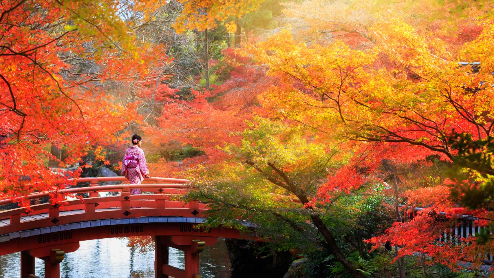 El color y la singularidad de los parques de las ciudades de Japón en otoño.