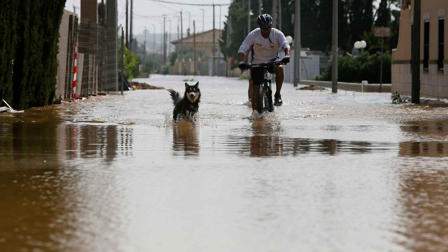 Un hombre pasea con su perro en una zona llena de agua en Alicante