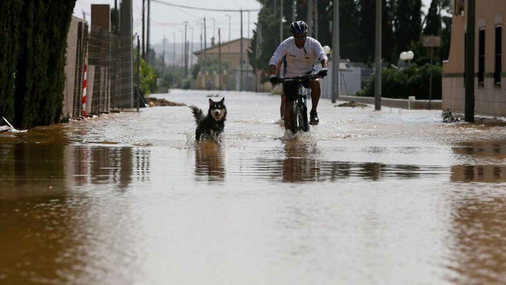 Un hombre pasea junto a su perro en una zona inundada en Alicante.