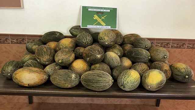 La dos personas sustrajeron hasta 20.000 kilos de melones.