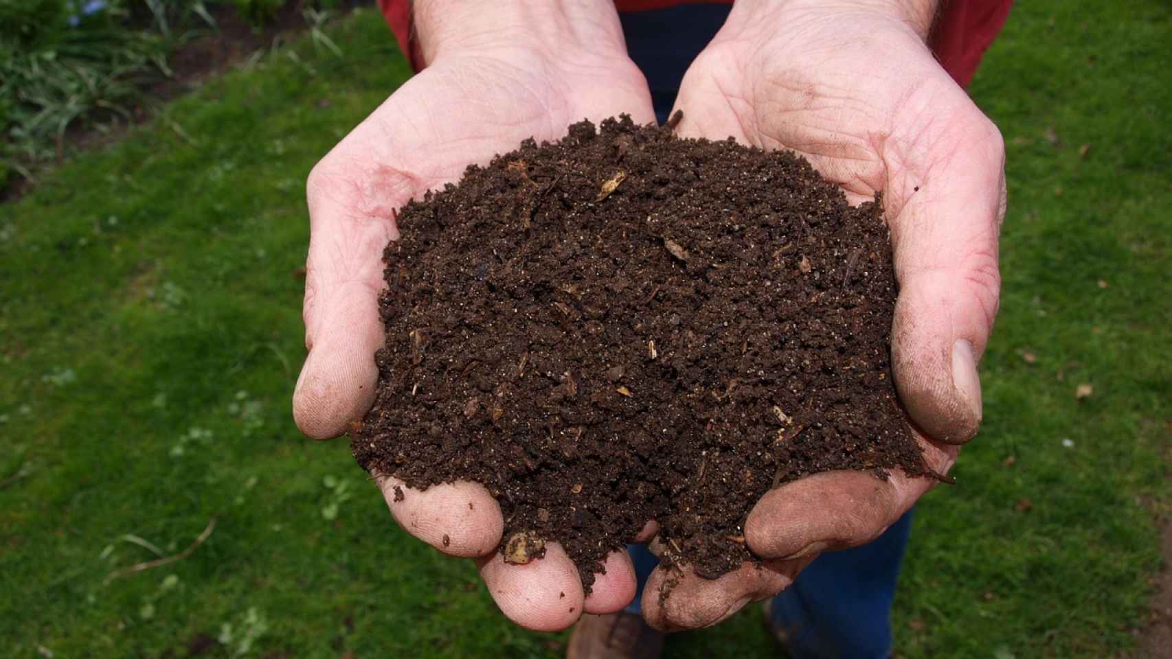 Compost casero, un fertilizante natural