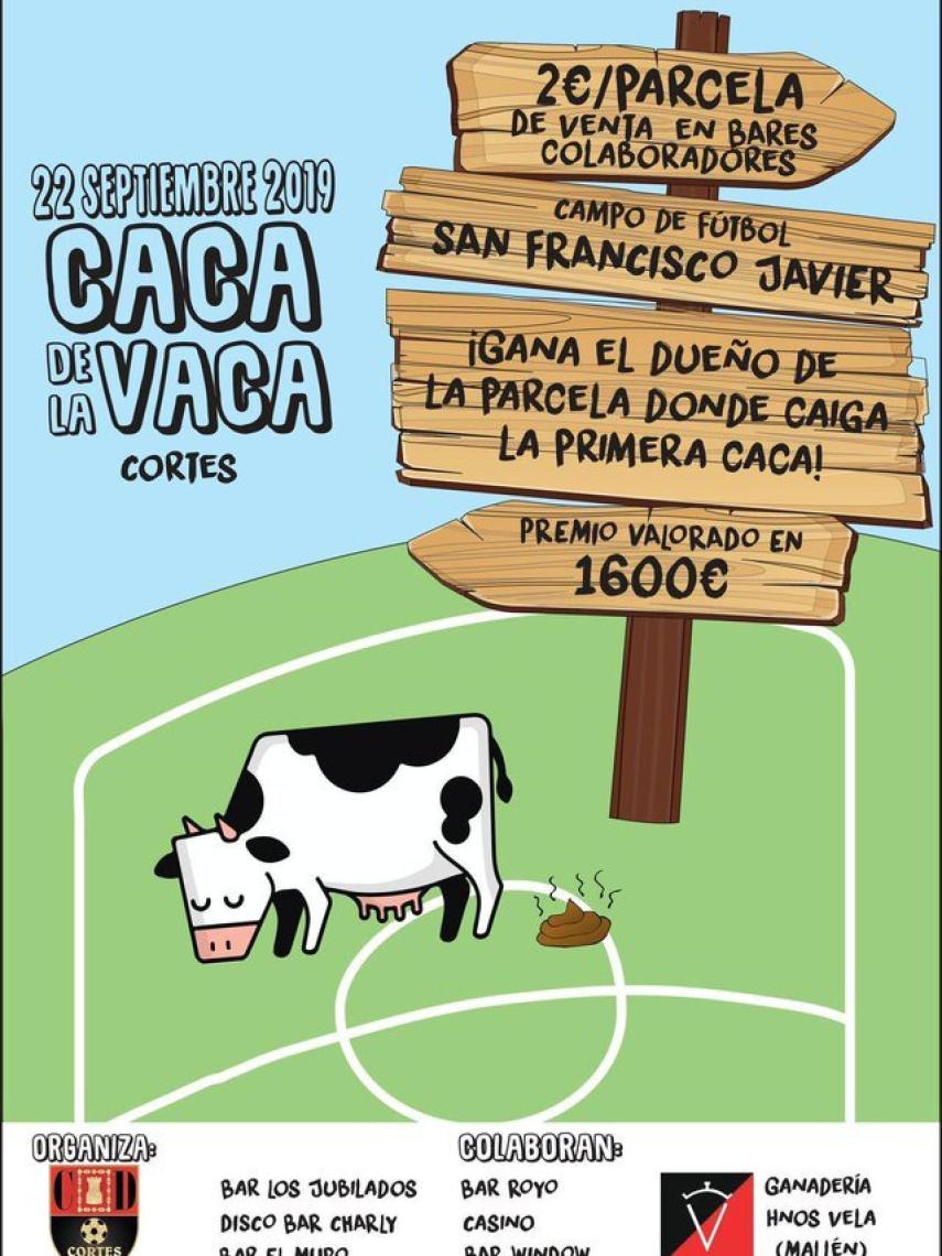 La Boñiga Decide El Ganador Así Es Caca De La Vaca El Concurso De Un Equipo De Fútbol Navarro 6029