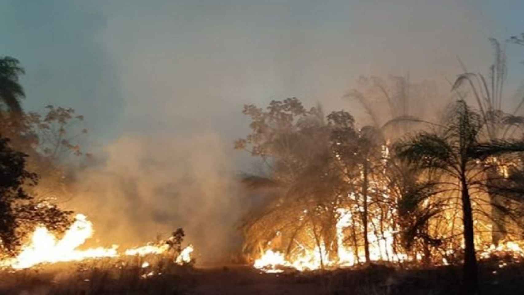 Incendios en el bosque seco de la Chiquitanía (Bolivia), que han arrasado 2 millones de hectáreas.