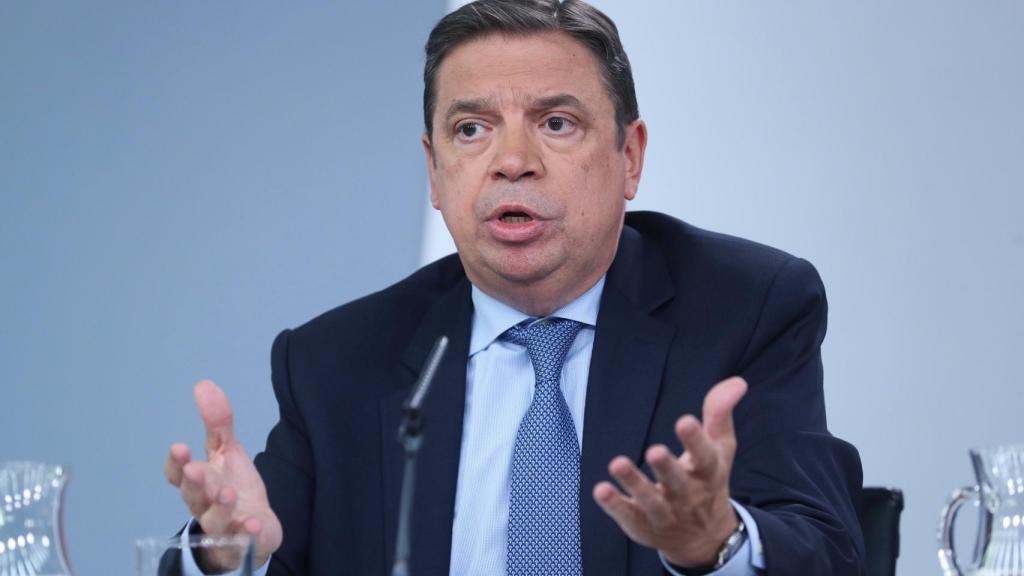 El ministro de Agricultura, Pesca y Alimentación en funciones, Luis Planas, tas el Consejo de Ministros.