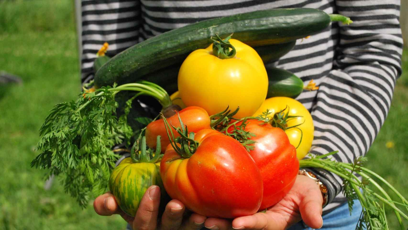 Una persona sosteniendo varias verduras en las manos.