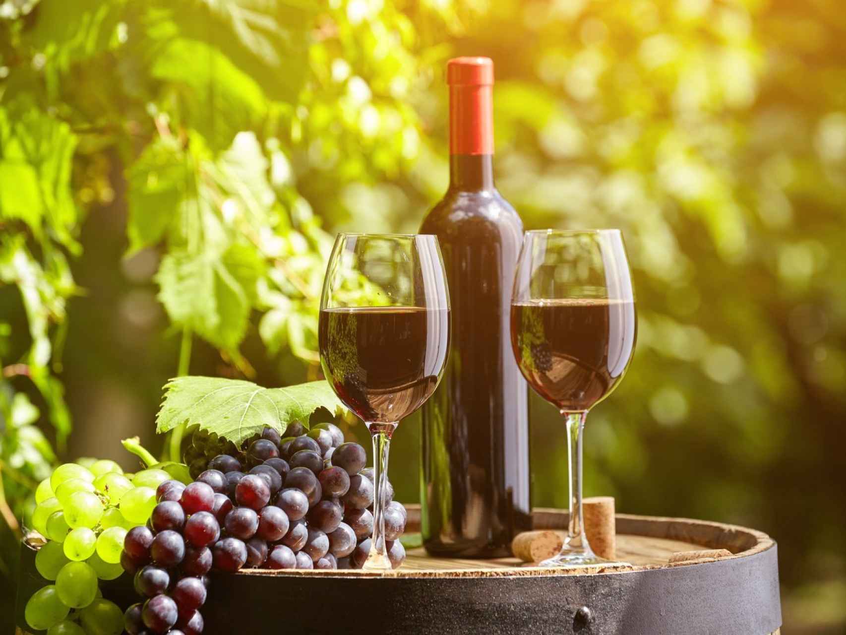 Куплю виноградное вино. Итальянское вино. Вино и виноград. Красное вино. Виноградное вино.