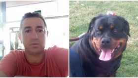 El perro que mató a Miguel Ángel el domingo pasado.