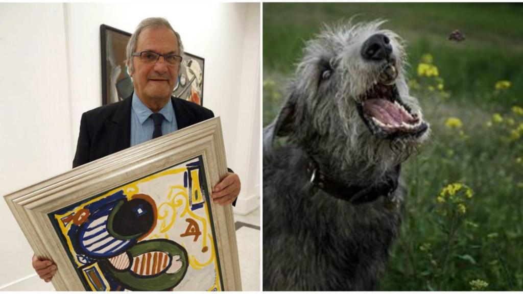 Alfredo El Picasso Gallego Encontrado Muerto Tras Ser Devorado Por Sus Perros Loberos