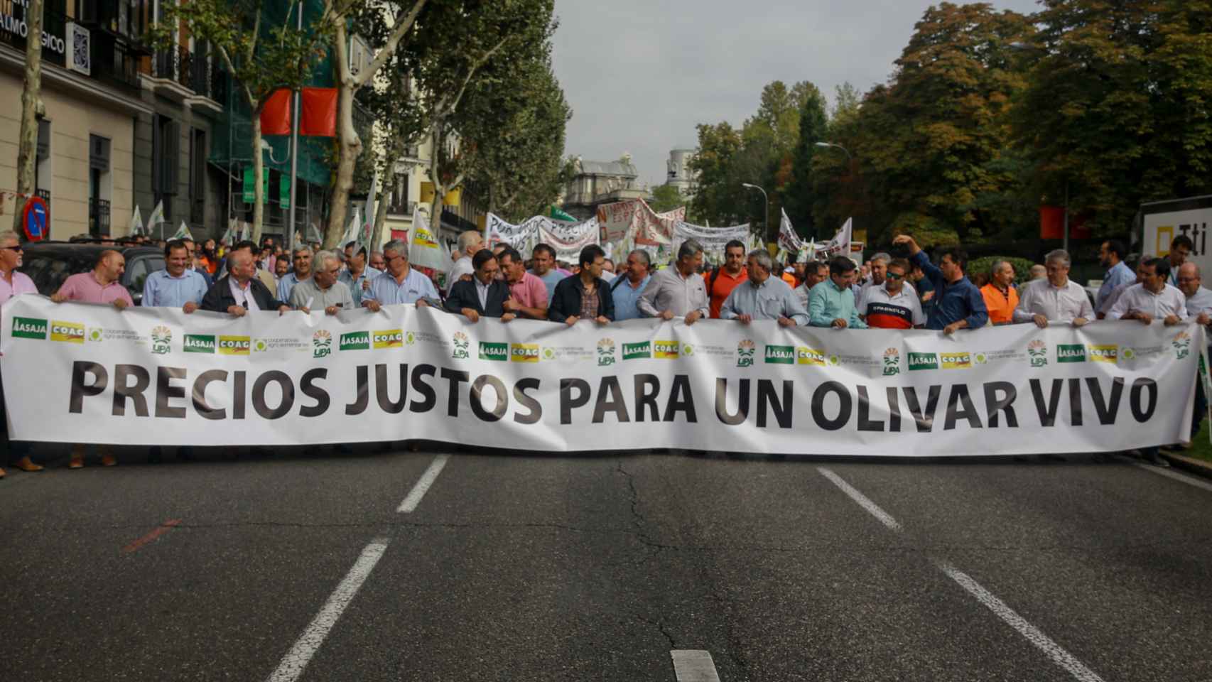 Manifestación en defensa del olivar tradicional ante la crítica situación que atraviesa el sector por los bajos precios en origen del aceite de oliva, en Madrid.