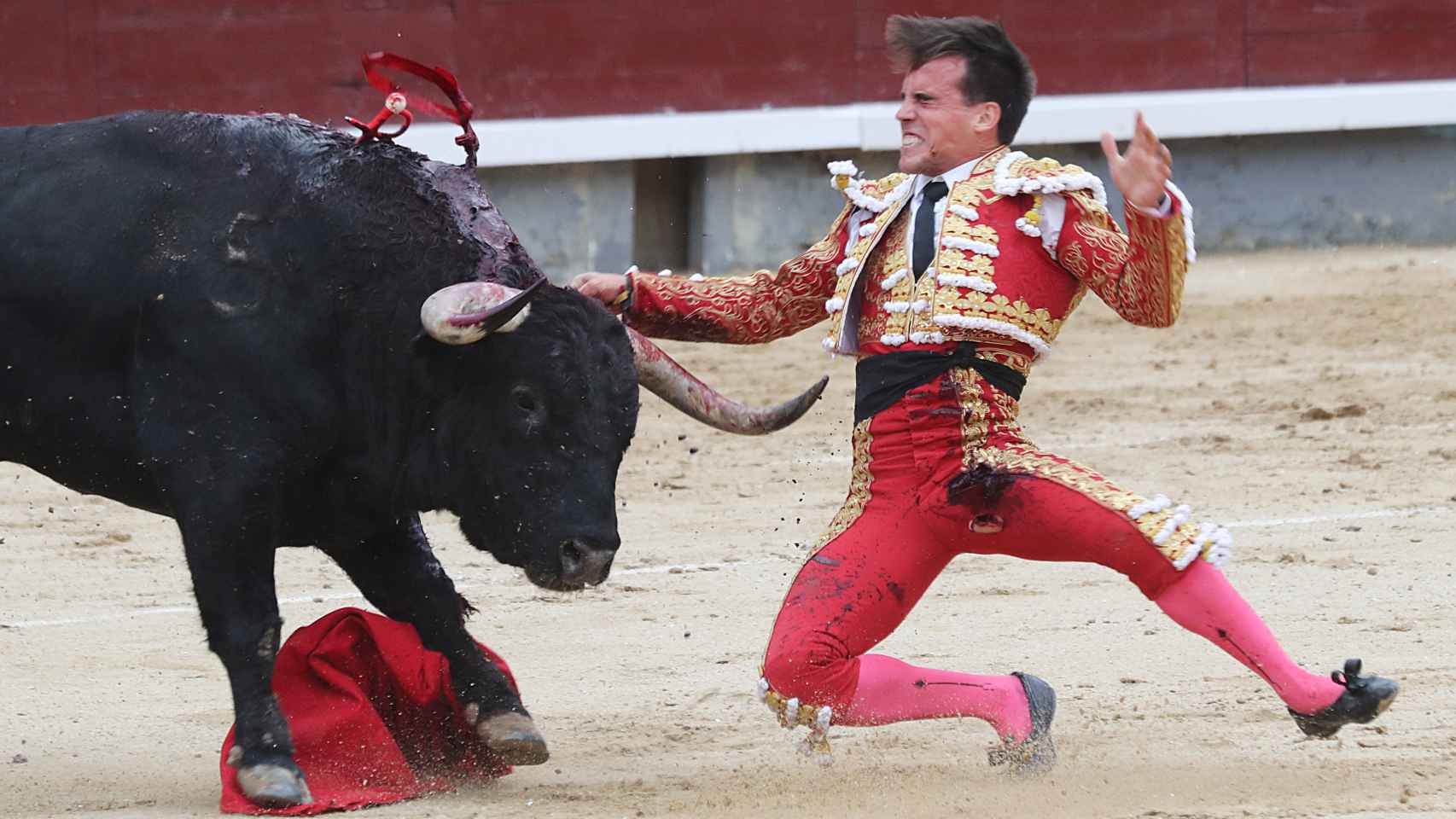 Momento en el que el toro cornea al joven torero en Las Ventas.