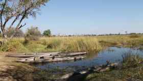 Un 'mokoro' en pleno delta de Okavango.