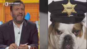 TV3 compara a los Mossos d’Esquadra con perros y los llama “malparidos” y “putos perros de mierda”