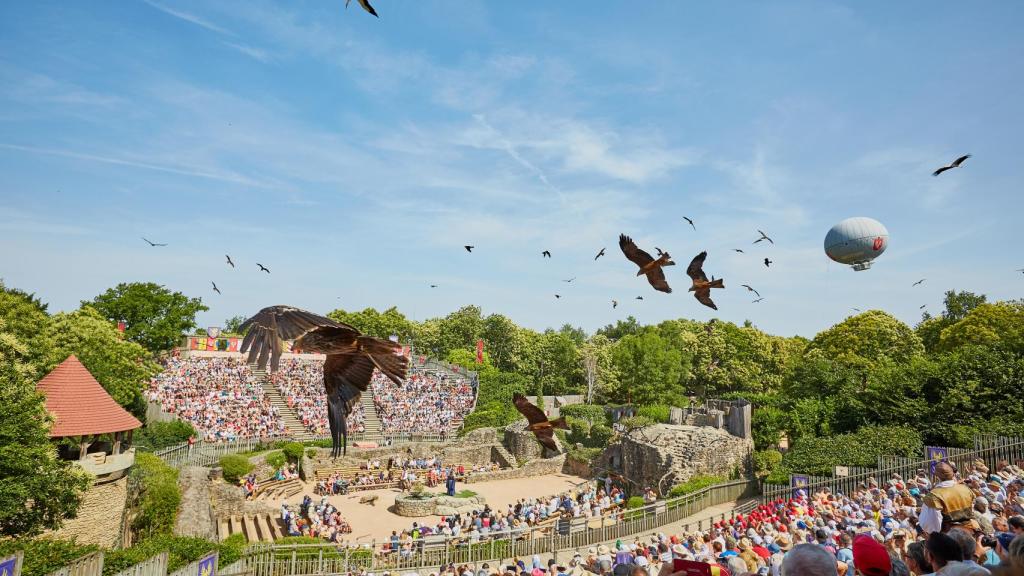 En 'El baile de los pájaros fantasmas' participan más de 200 aves de distintas especies.