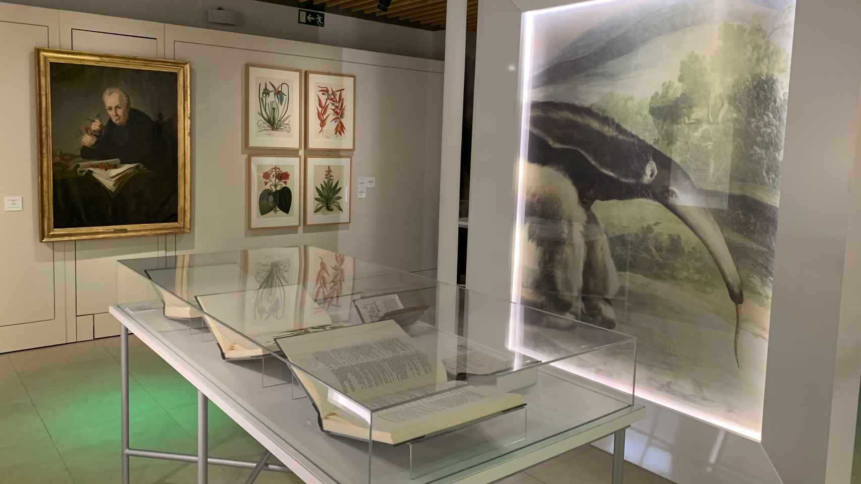 Vista de la exposición 'La ciencia. Un patrimonio histórico'.