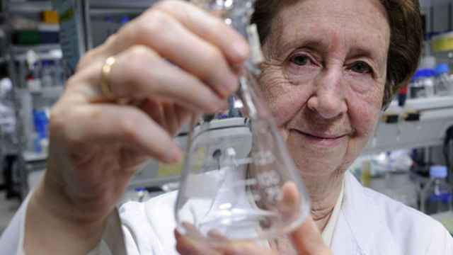 Muere la bióloga Margarita Salas a los 80 años