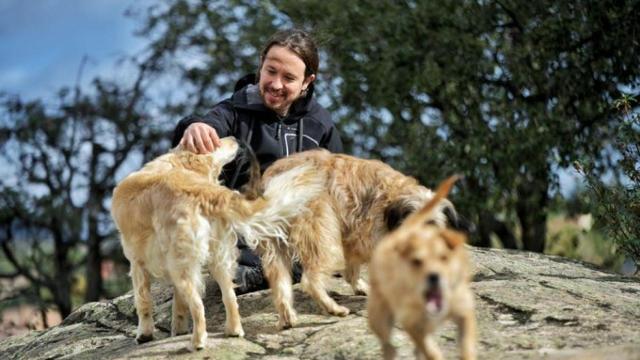 Iglesias con sus perros .