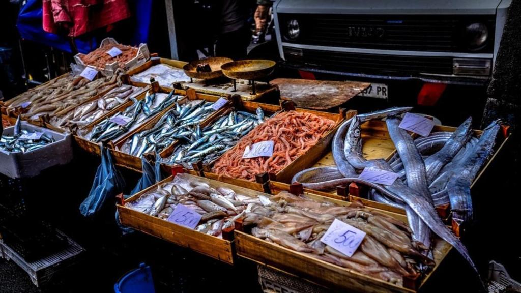 La verdad sobre el pescado: ¿deberíamos dejar de comer peces y mariscos?