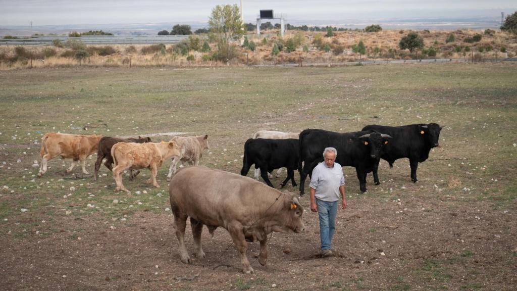 Las actividades agrícolas y ganaderas son las primeras que están sufriendo los efectos de la falta de precipitaciones.