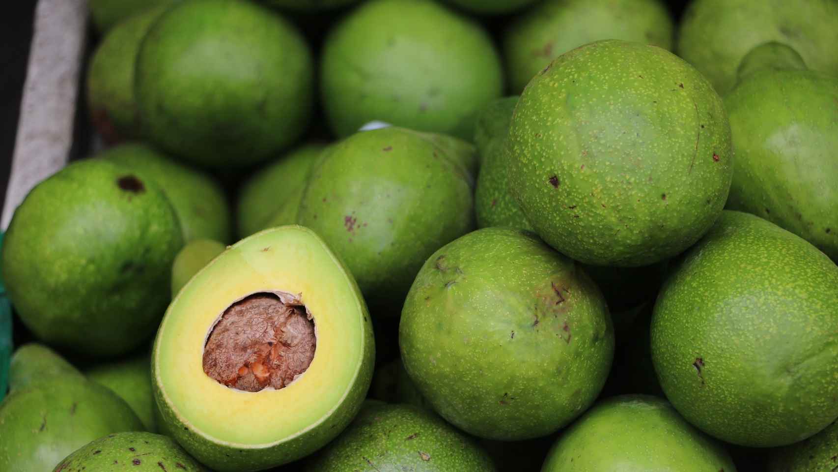 Aguacate: cinco cosas que deberías saber sobre esta fruta rica en grasas