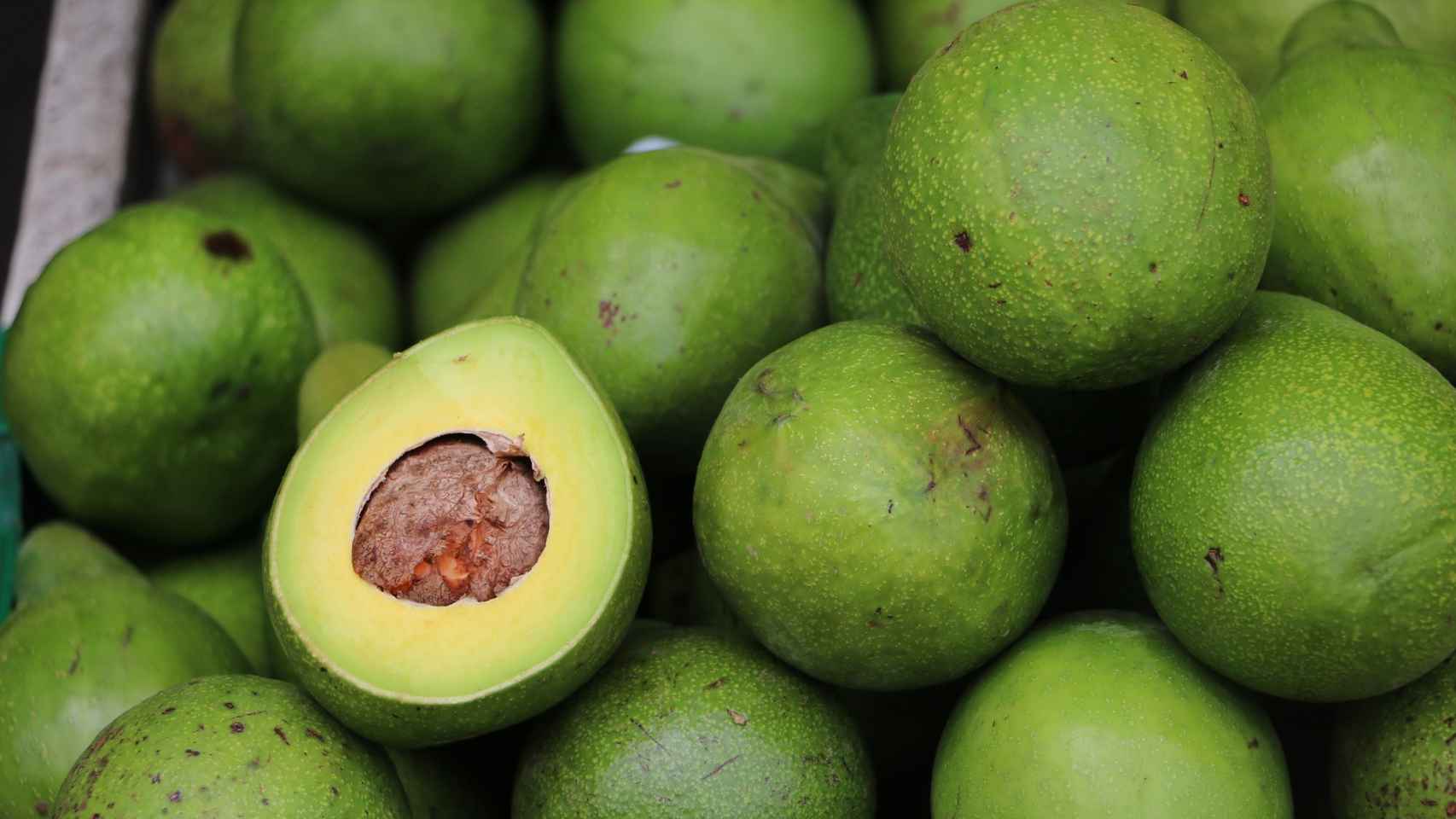 Aguacate: cinco cosas que deberías saber sobre esta fruta rica en grasas
