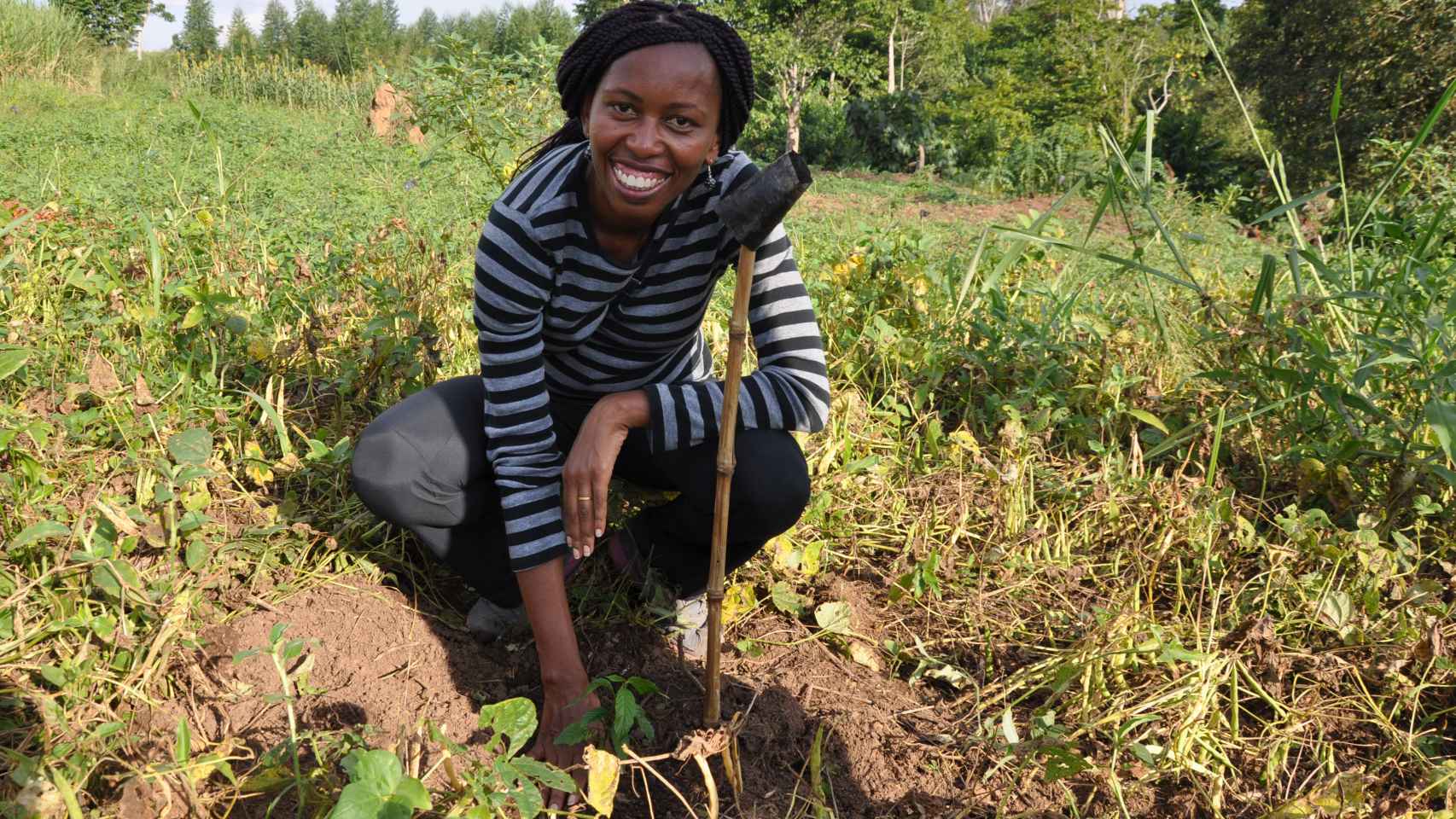 Alice Macharia,  vicepresidenta del Insituto Jane Goodall, en uno de los cultivos tradicionales que ayuda a optimizar.