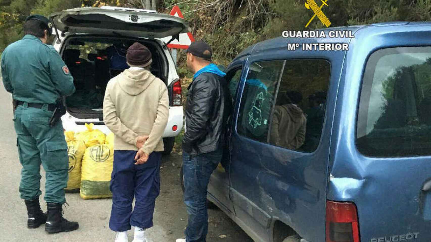 La Guardia Civil detiene a unos sospechosos de robos de castañas en El Bierzo (León)