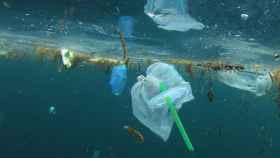 Bolsas y pajitas de plástico contaminando los océanos.