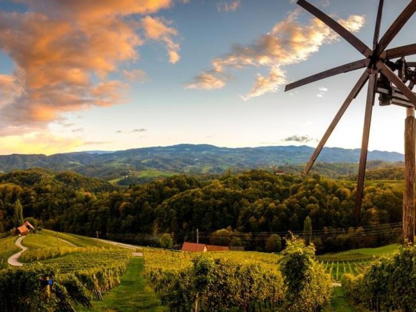 Cada región vinícola eslovena tiene su propia ruta de vinos.