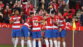 Los jugadores del Granada celebran uno de los goles del partido