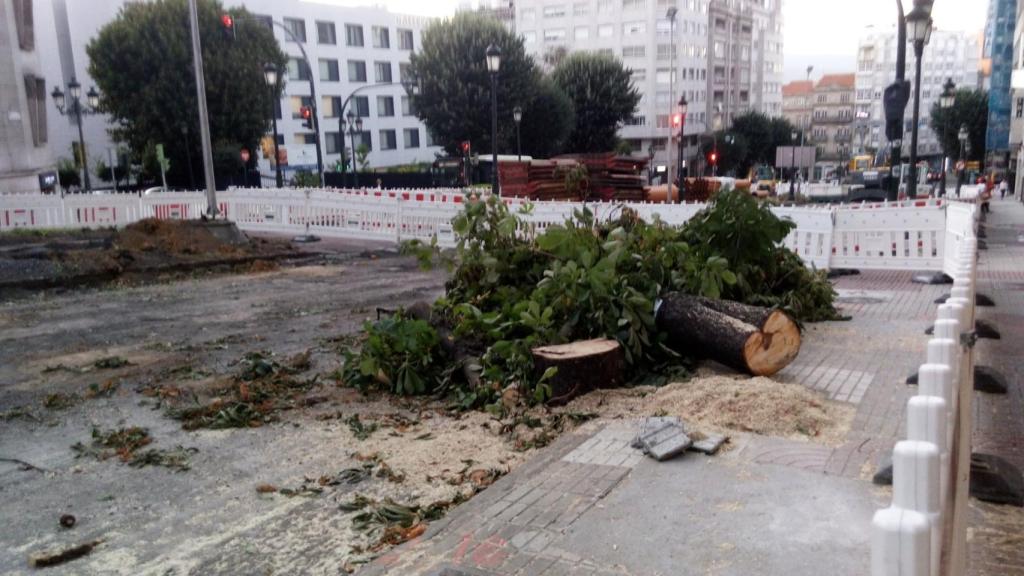 Algunos de los ejemplares talados en la Gran Vía viguesa.