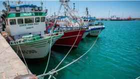 España consigue un buen acuerdo de la pesca en la UE: el jurel sube un 24% y la merluza baja un 5%