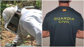 La batalla del guardia civil José para ser también apicultor: así ha vencido a Interior en los tribunales
