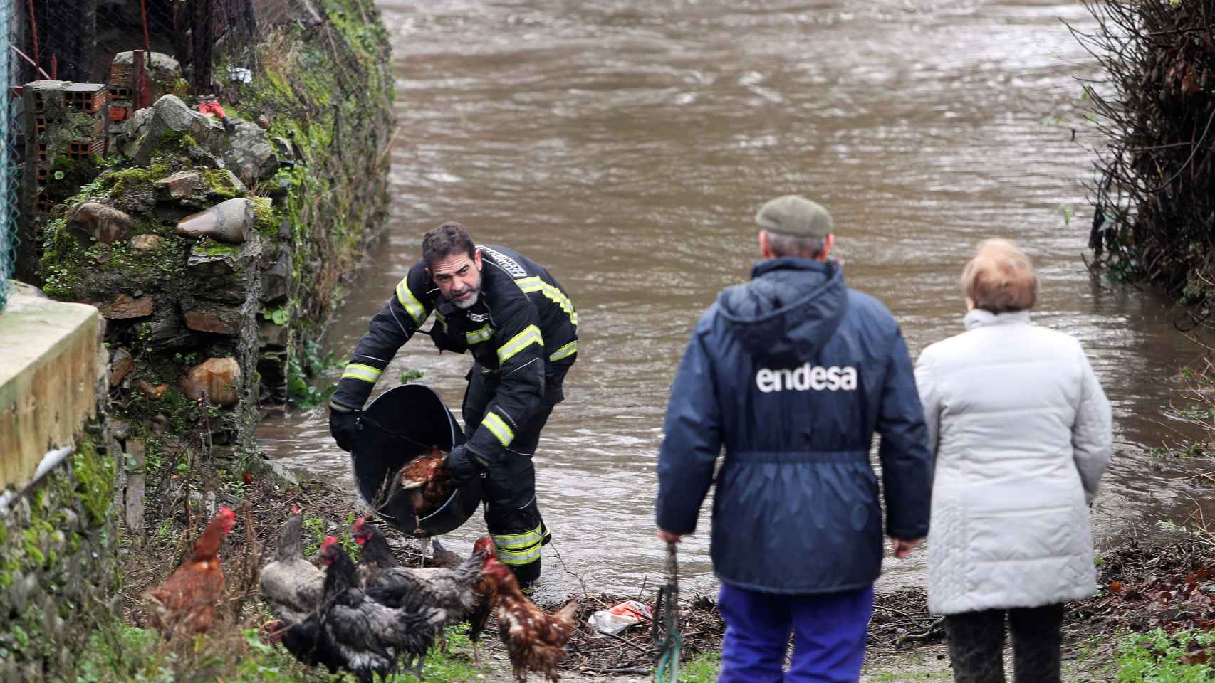 Un bombero rescata este jueves a unas gallinas de una calle inundada de Ponferrada.