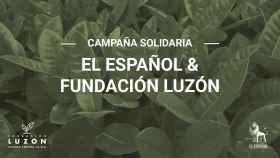 EL ESPAÑOL y la Fundación Francisco Luzón unidos contra LA ELA