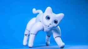 Este adorable gato robot ¿es el futuro de las mascotas para el hogar?