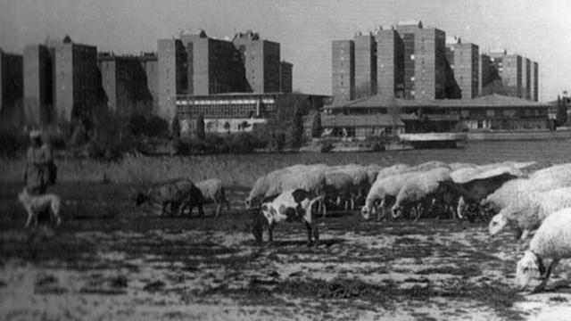 Castilla y León