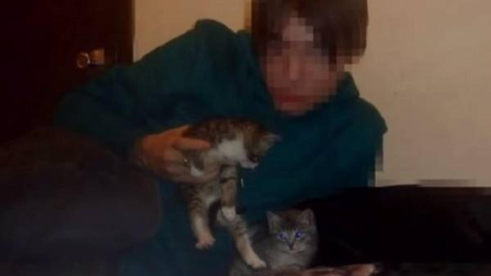 1 boy 2 kitten video