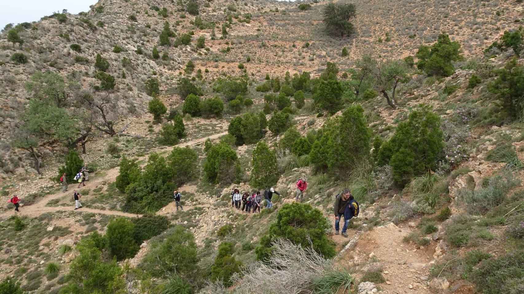 Imagen del Parque Nacional de Alhucemas en Marruecos donde Ecologistas en Acción de Cádiz quería depositar las 23 tortugas.