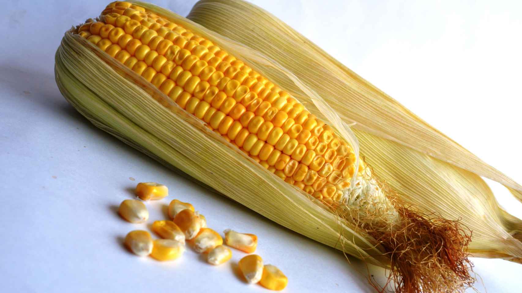 El maíz es un alimento con muchas propiedades nutricionales
