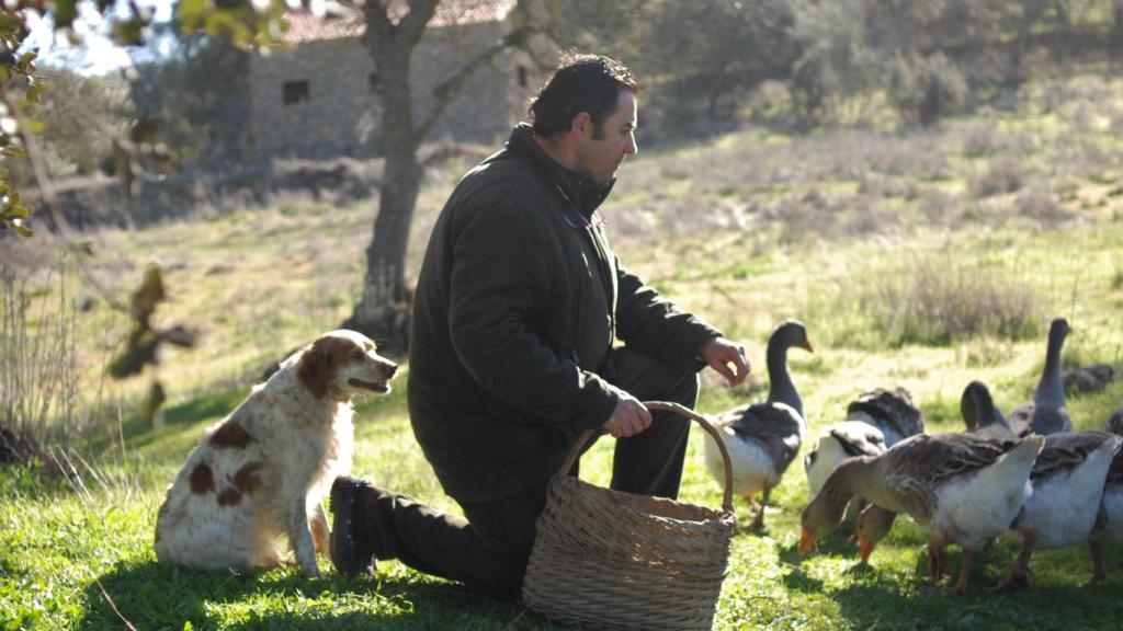 Sousa dando de comer a sus especímenes en plena dehesa.