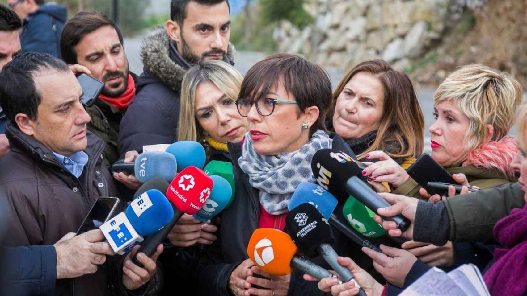 María Gámez, exsubdelegada del Gobierno en Málaga, atiende a los periodistas el 15 de enero de 2019 en Totalán (Málaga).