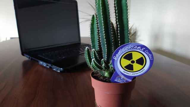 Un 'cactus contra la radiación'.