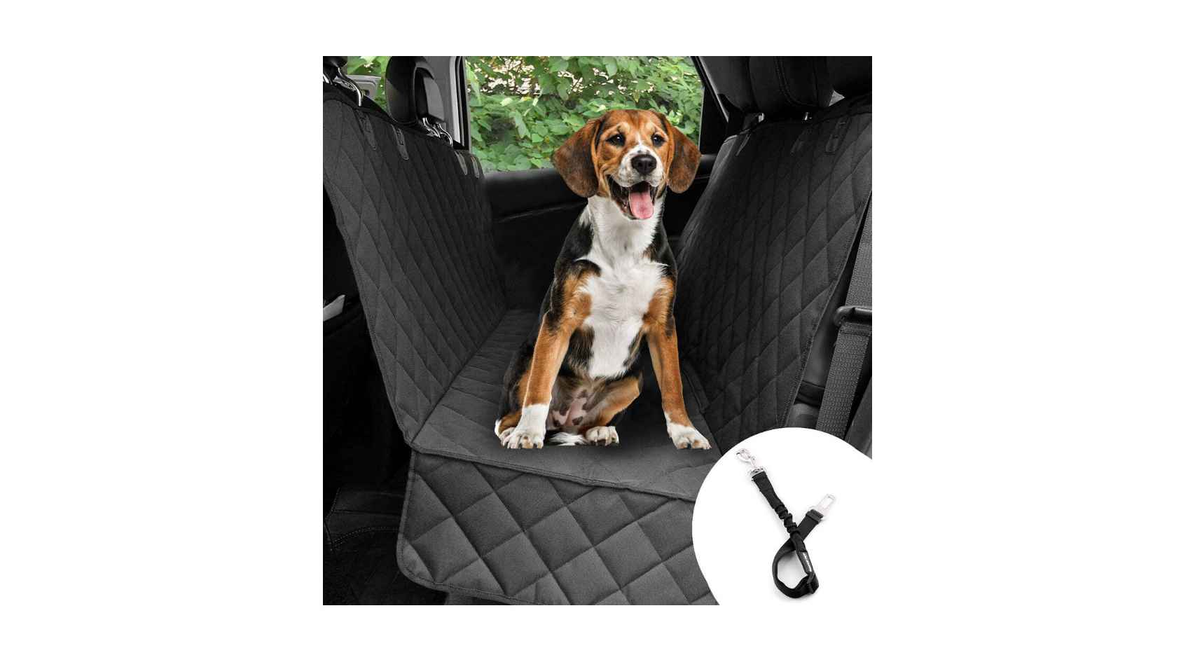 Los mejores accesorios para viajar con perros en el coche