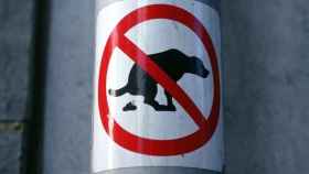 Prohibido dejar los excrementos de perro en la calle.