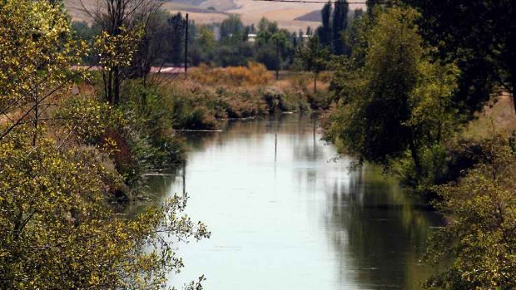 El río Carrión, en el municipio palentino de Husillos.